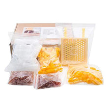 kdjsic Kit per l'allevamento della Regina di Apicoltura Coppe per Celle Catcher Box Gabbie a rulli per l'allevamento di api Strumenti per Alveare