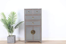 Yajutang - Cassettiera cinese con 4 cassetti, 2 ante, colore: grigio