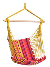 Amazonas Hammock AZ-1013200 Belize Poltrona Sospesa Vulcano, Fucsia, 56x98x104 cm