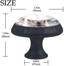 Kitten Praying Pomelli per Porta Set di 4 Pomelli per Mobili Manopole per Cassetti Cucina Armadio Vetro