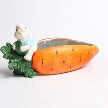 QJXSAN Cemento Forma di Carota Pianta grassa Pot Cute Cartoon Cactus Vaso da Fiori Planter Contenitore con Fori