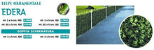 1x3 MT - SIEPE ORNAMENTALE EDERA ARTIFICIALE CON RETE OMBREGGIANTE - OFFERTA X 4 ROTOLI - STOCK