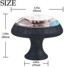 Gattino a strisce grigio Pomelli per Porta Set di 4 Pomelli per Mobili Manopole per Cassetti Cucina Armadio Vetro