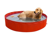 New Plast 0104 - My Dog Pool Piscina per Cani, 180 x 30 cm (ØxH)