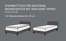 schlafgut Jersey-Elasthan Boxspring Lenzuolo con Angoli, Cotone/Tessuti Misti, Bianco, 220 x 200 x 1 cm