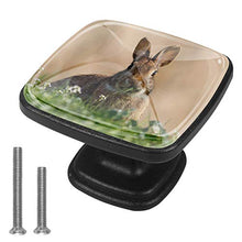 lepre Pomelli per Porta Set di 4 Pomelli per Mobili Manopole per Cassetti Cucina Armadio Vetro