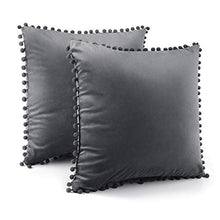 EASY EAGLE Federe in Velluto Copricuscini Decorativi Fodere Quadrate per Cuscino per Divano Casa, 45X45cm, Confezione da 2