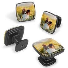 Papillon di cane in un campo di fiori Primavera animali domestici Pomelli per Porta 4 Pezzi Manopole per Mobili da Cucina Pomelli per Mobili Pomelli Per Cassetti/Cucina/Armadio Antichi