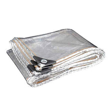 GJSN Outdoor Multiuso Incatramata Telone Chiaro Tarp Trasparente con Occhielli per/Outdoor, Multi-Purpose Waterproof Cloth Isolamento Di Plastica Coperto,2Mx4M