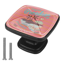 4 PCS Pomelli per Porta,Pomolo per Mobile,Pomelli per Mobili con Viti,Maniglia per Armadietto,Pomelli per Porta,Pomelli per Cassetti per Porta,Armadio,Cassetto e Credenza,L'isola dei dinosauri