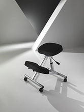 Tomasucci 1644 Berger - Sgabello ergonomico, Alzata a gas regolabile in altezza, Alluminio/Nero