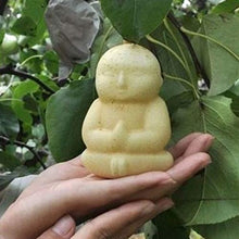 2 Unids Muffa di Coltivazione per Ortaggi da Giardino, Muffa Trasparente di Frutta al Ginseng