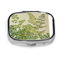 Scatola quadrata per pillole medicinali in capelli di venera felci moda pillola organizzatore viaggio pillola caso dispenser per vitamine integratori