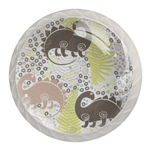 Maniglie per cassetti Manopole per cassetti Manopole rotonde Confezione da 4 per armadietto, cassetti, cassettiere, cassettiere ecc - Dinosauri Felci VectIllustration