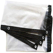 Telo da giardino trasparente Pellicola antigelo impermeabile Copertura antipioggia impermeabile Tenda da sole in plastica PE(Size:6x7M)