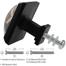 Ciao orso ciao 3 PCS Pomelli per Porta, Pomolo per Mobile, Pomelli per Mobili con Viti, Maniglia per Armadietto, Pomelli per Porta, Pomelli per Cassetti per Porta, Armadio, Cassetto e Credenza
