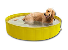 New Plast 0104 - My Dog Pool Piscina per Cani, 180 x 30 cm (ØxH)