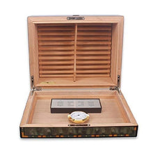 SCDZS Umidificatore for igrometro for sigari, Scatola di immagazzinaggio Foderata di Cedro Cedar Tray Spagnolo