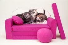 Pro Cosmo H6-Divano Letto futon con Pouf/poggiapiedi/Cuscino, in Tessuto, Colore: Rosa, 168 x 98 x 60 cm, Cotone