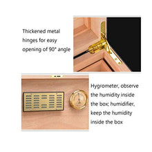 ZLMMY Desktop Cigar Humidor - Rettangolare umidificatore con Vassoio e separatore Regolabile
