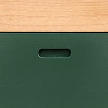Rebecca Mobili Cassettiera Comodino 2 Cassetti Legno Marrone Verde Camera da Letto Soggiorno Arredamento Moderno (cod. RE6048)