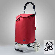 Carrello Pieghevole Carrello Spesa (Colore : C)