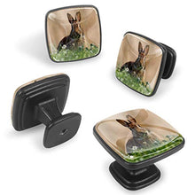 lepre Pomelli per Porta Set di 4 Pomelli per Mobili Manopole per Cassetti Cucina Armadio Vetro