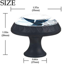 Squalo a strisce Pomelli per Porta Set di 4 Pomelli per Mobili Manopole per Cassetti Cucina Armadio Vetro