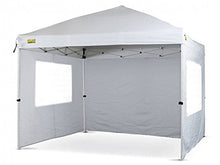 Bertoni Kit 4 Laterali per Gazebo Rapido 300