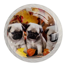 Maniglie per cassetti Manopole per cassetti Manopole rotonde Confezione da 4 per armadietto, cassetti, cassettiere, cassettiere ecc. cane