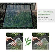 BWBG Telone con Occhielli Trasparente, 4X10m Teloni Impermeabili Trasparenti da Terrazzo Resistente all'Acqua Antivento Telo Impermeabile Trasparenti Esterno per Balcone Campe Gazebo E Giardino