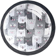 Funny Grey Cats Pomelli per Porta Set di 4 Pomelli per Mobili Manopole per Cassetti Cucina Armadio Vetro