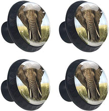 Imposta elefante Pomelli per Porta Set di 4 Pomelli per Mobili Manopole per Cassetti Cucina Armadio Vetro