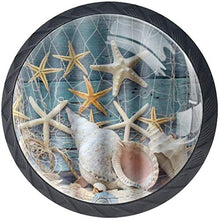 Conch Starfish Shell Seashell Beach Pomelli per Porta Set di 4 Pomelli per Mobili Manopole per Cassetti Cucina Armadio Vetro