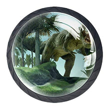 Dinosauro gigante 4 PCS Pomelli per Porta, Pomolo per Mobile, Pomelli per Mobili con Viti, Maniglia per Armadietto, Pomelli per Porta, Pomelli per Cassetti per Porta, Armadio, Cassetto e Credenza