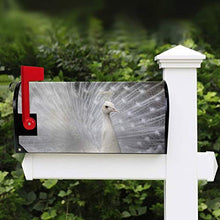 Piuma di Pavone Bianco Animale Mailbox Copre Magnetico Giardino Cantiere Casa Decor Dimensioni Standard 53,3 cm x 45,7 cm