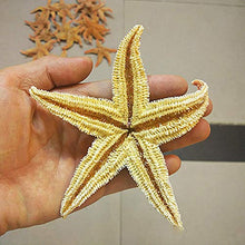 LPxdywlk Stelle Marines Secche Naturali 2 Pezzi Beach Craft Wedding Party Home Puntelli di Fotografia di Decorazione 2pcs