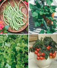 ABRC Patio Container Garden