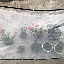 3x5 ， Telone impermeabile resistente impermeabile trasparente telone giardinaggio antipolvere antipioggia riutilizzabile copertura per auto barbecue polietilene(Size:2x3M)