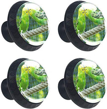 Budgerigars Birds Kissing Couple Love Pomelli per Porta Set di 4 Pomelli per Mobili Manopole per Cassetti Cucina Armadio Vetro