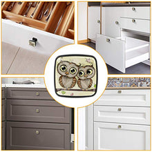 Due gufi simpatico cartone animato Pomelli per Porta Set di 4 Pomelli per Mobili Manopole per Cassetti Cucina Armadio Vetro
