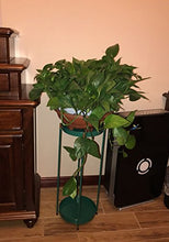 ZYLE Portafiori in Ferro for 2 Livelli/Porta Piante for mensola for balconi