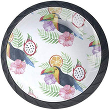 Tucano dell'acquerello Frutta tropicale Dragon Fruit floreale Pomelli per Porta Set di 4 Pomelli per Mobili Manopole per Cassetti Cucina Armadio Vetro