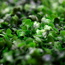 Yuema, foglia di edera artificiale, verde, per la privacy e la privacy