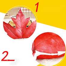 LBLQWE Cuscino a Forma di Foglia di Simulazione di personalità, Peluche Creativo 3D, Cuscino Posteriore Rimovibile in Cotone Cuscino Lombare Cuscino Divano pisolino Ufficio-Pattern3