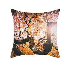 Federe Cuscini Divano 45X45,Fodere Per Cuscini Con Stampa Di Serie Di Paesaggi Naturali Della Foresta, Fodere Per Cuscini Lombari Per Divano Da Ufficio Per Auto, Set Di 4 Articoli Per La Decorazione D