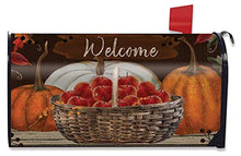 XJ-JX A Time to Gather Autumn Mailbox Cover Primitive Benvenuto Zucche Mele Standard