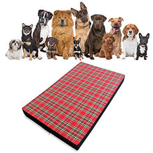 Baldiflex Materassino Cuccia Letto Cuscino Morbida per Cane Berny con Memory Foam h 7 cm, 100x60x7 cm, 5 + 2 cm Memory