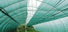 Telo per recinzione 85% in 2 m x 50 m, colore: verde