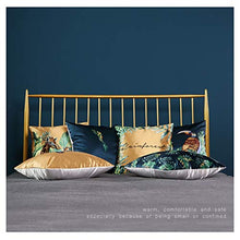 WDX- Cuscino in cotone confortevole per la casa, cuscino lombare, cuscino per divano, schienale rimovibile, lavabile, durevole, Tessuto delicato + cotone., E, 30*50cm